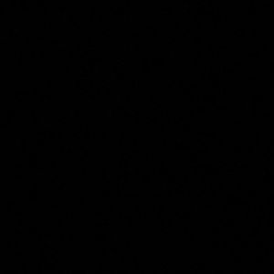 Meet your Posher, Jaime